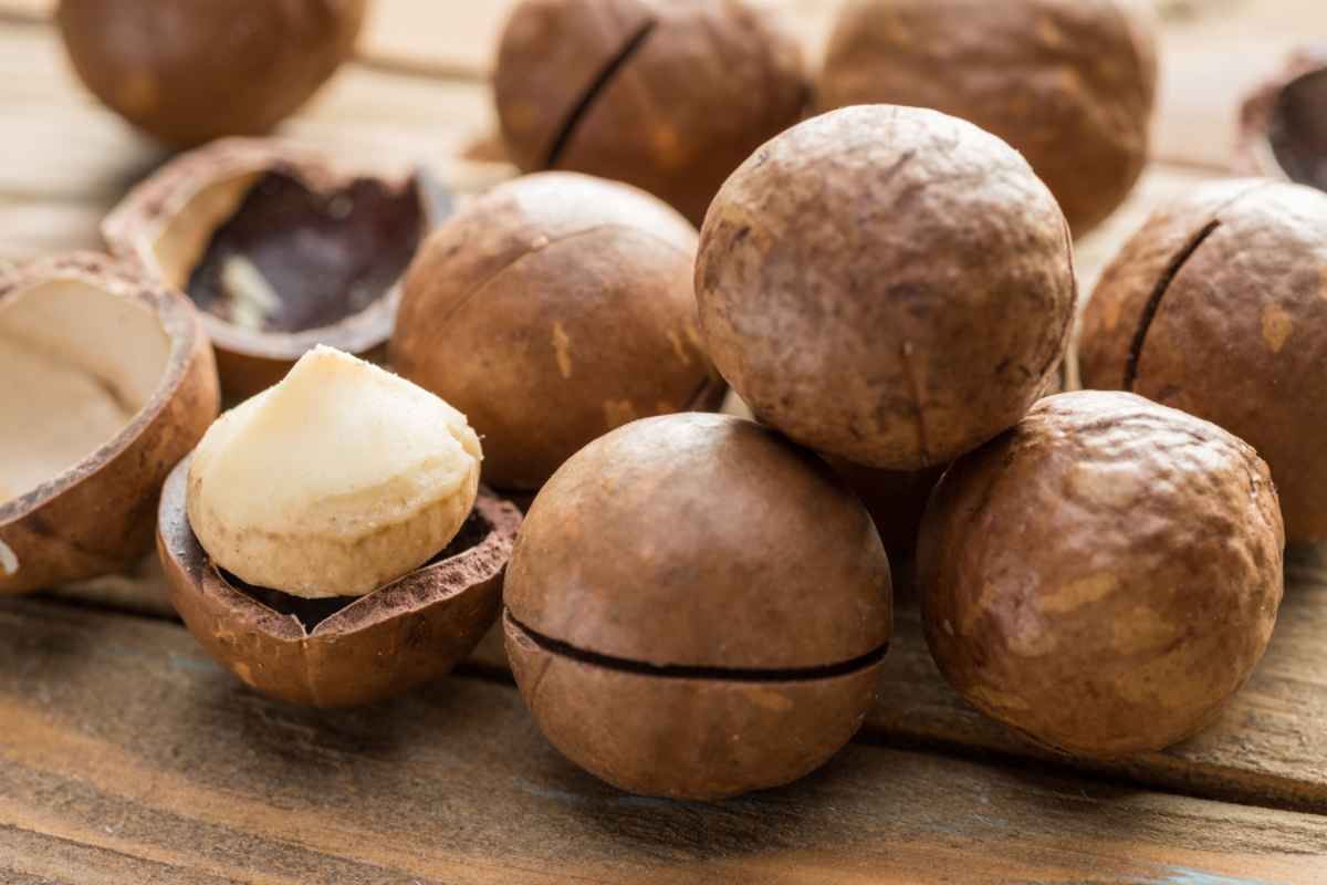 A close up of macadamias