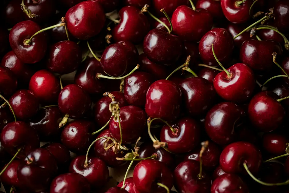 A pile of ripe red cherries