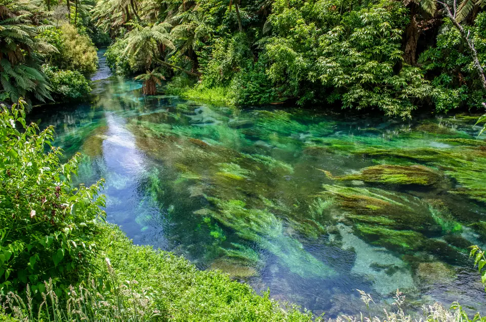 Clear blue-green stream running through native bush