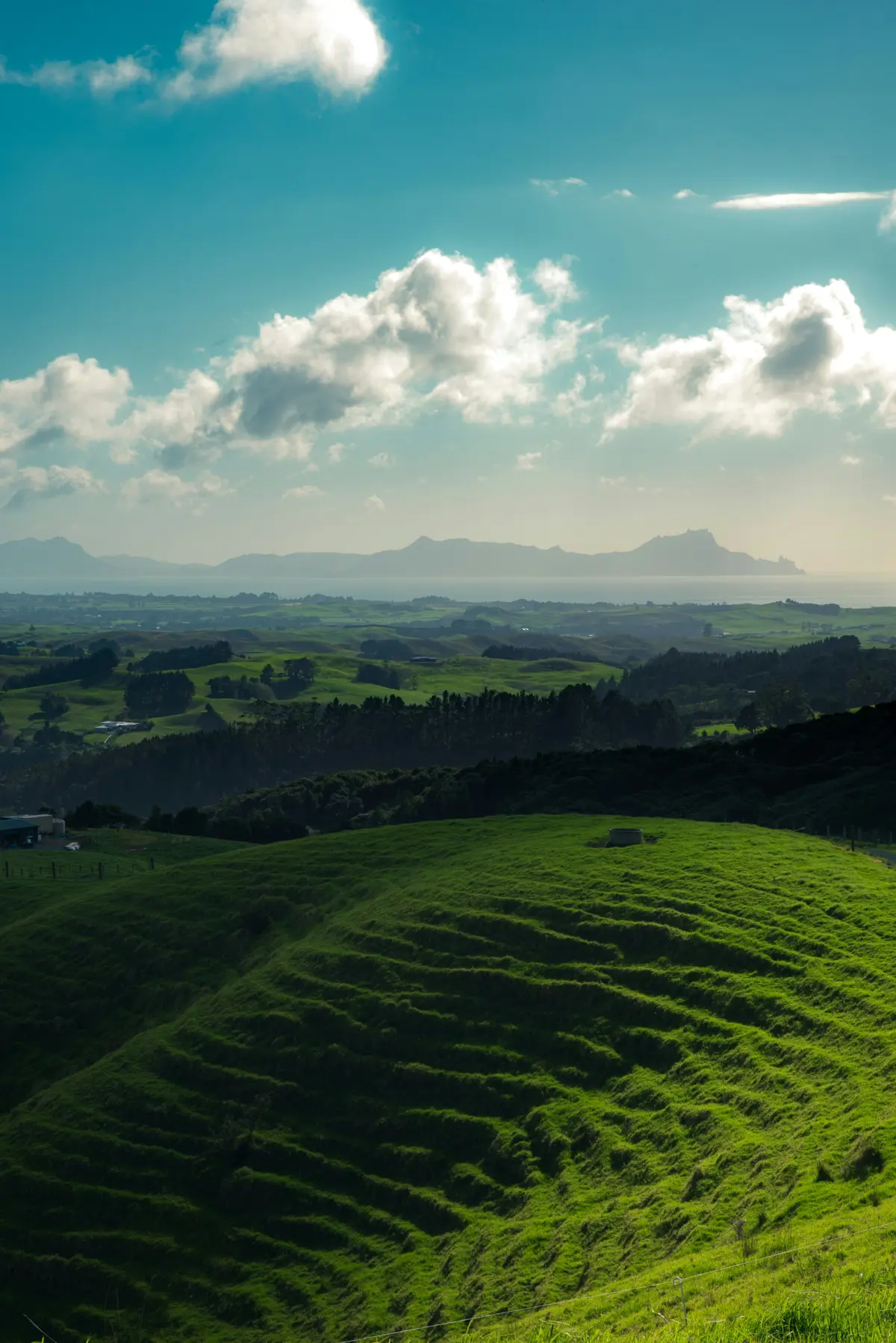 Whangārei, lush green hills with mountains in the background
