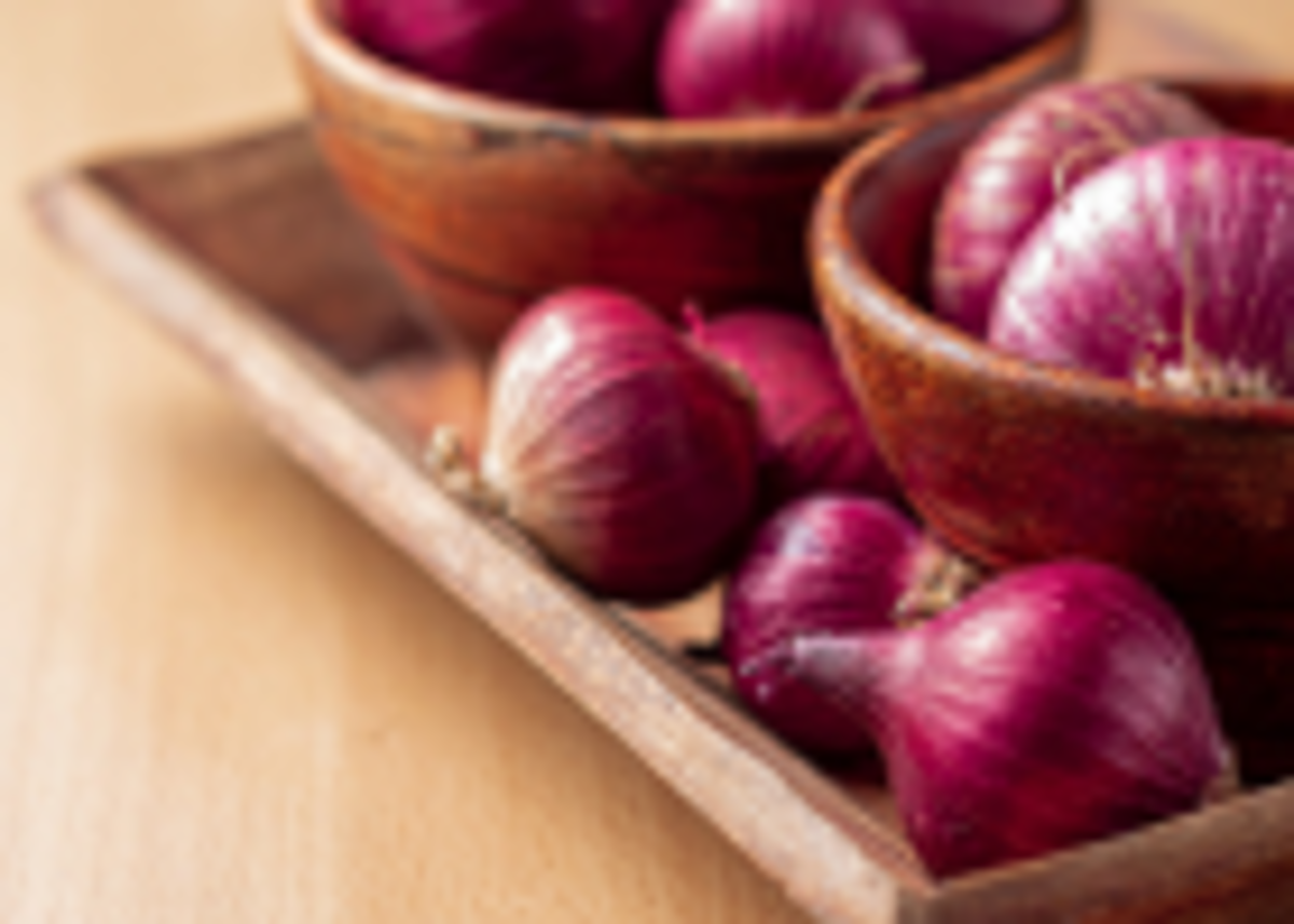 Red Onion (Replace) (1)
