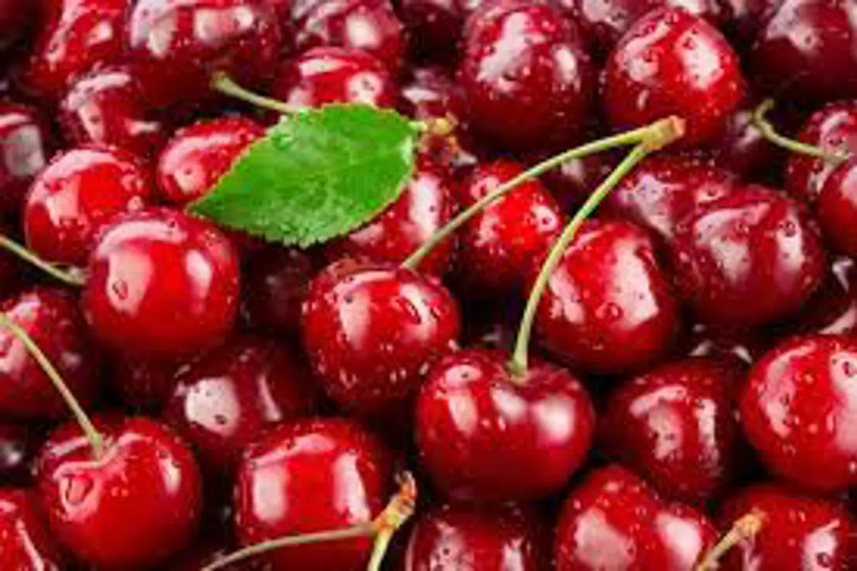 Cherries (Replace)