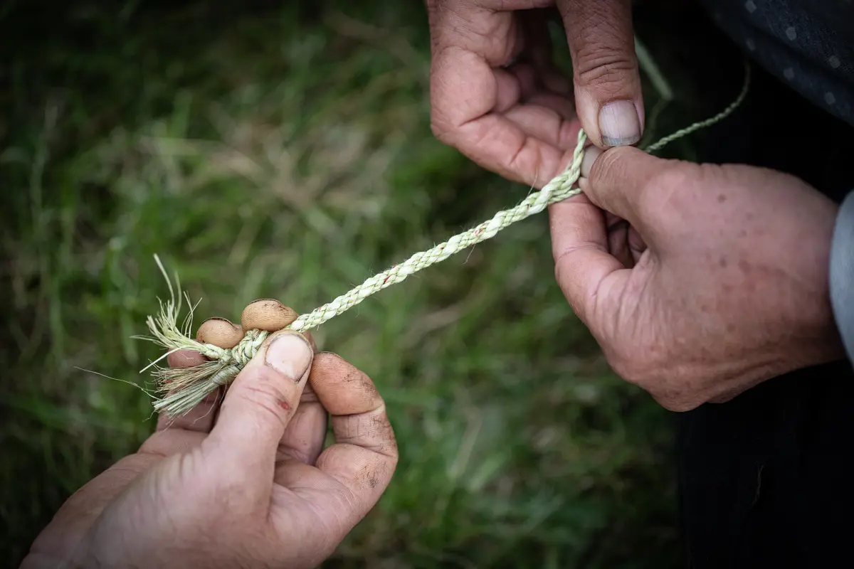 A hand holding flax being weaved with dirty hands