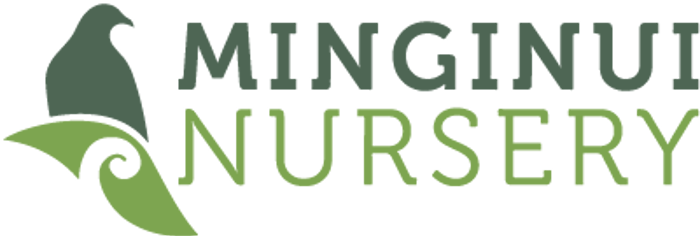 Minginui Nursery logo