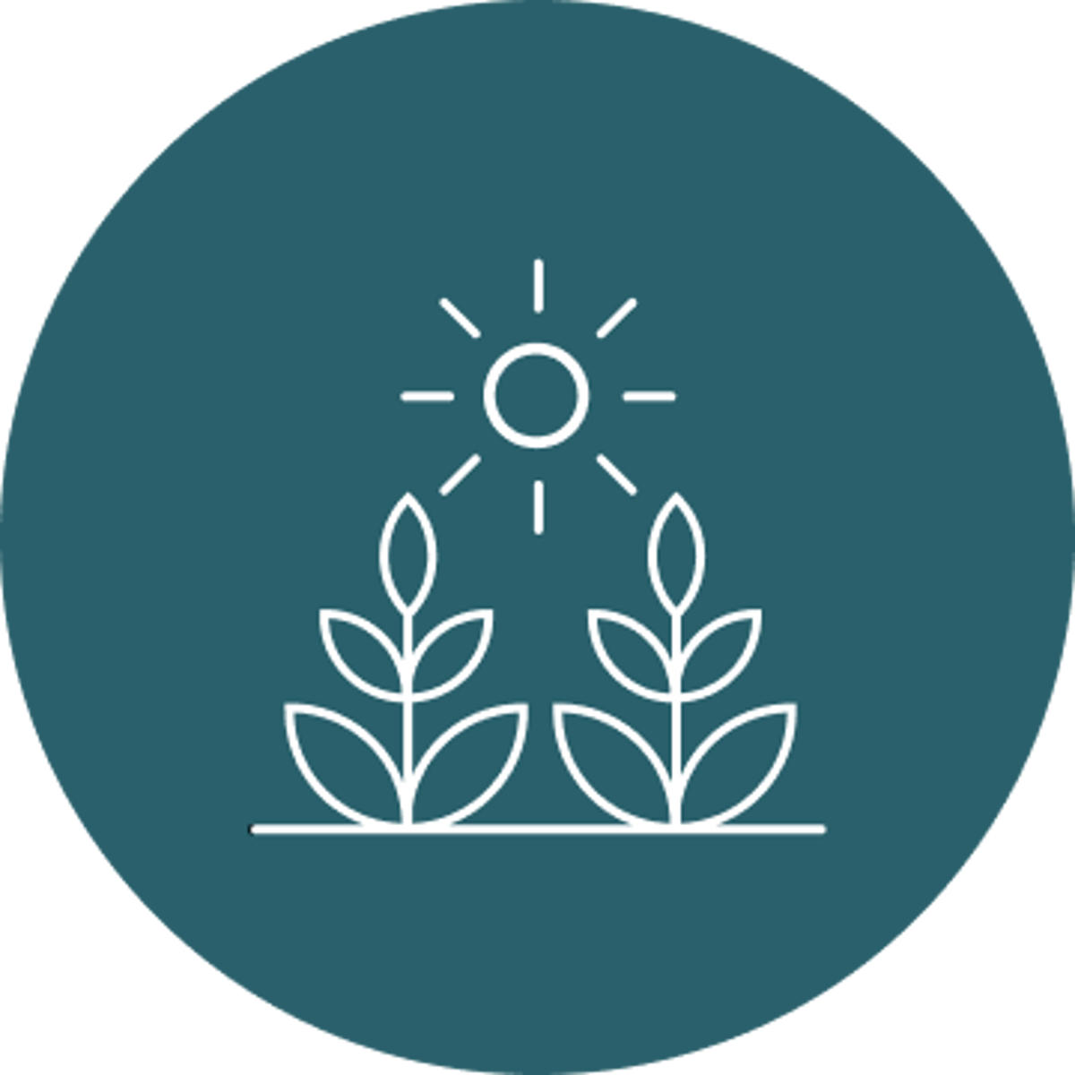 Crops Icon