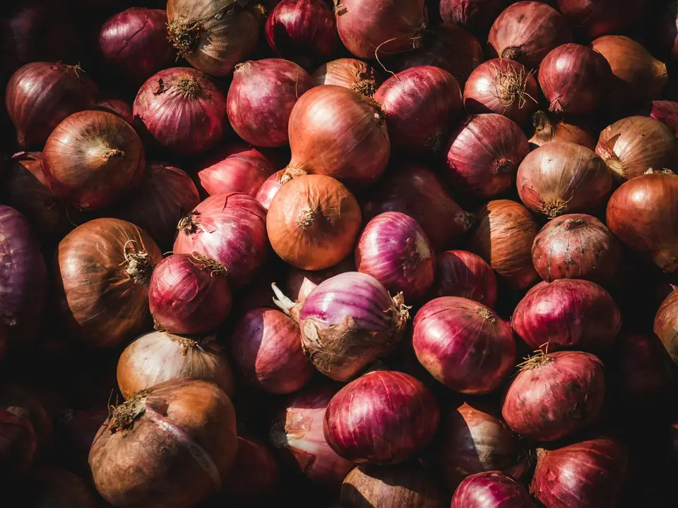 A pile of red and brown onions