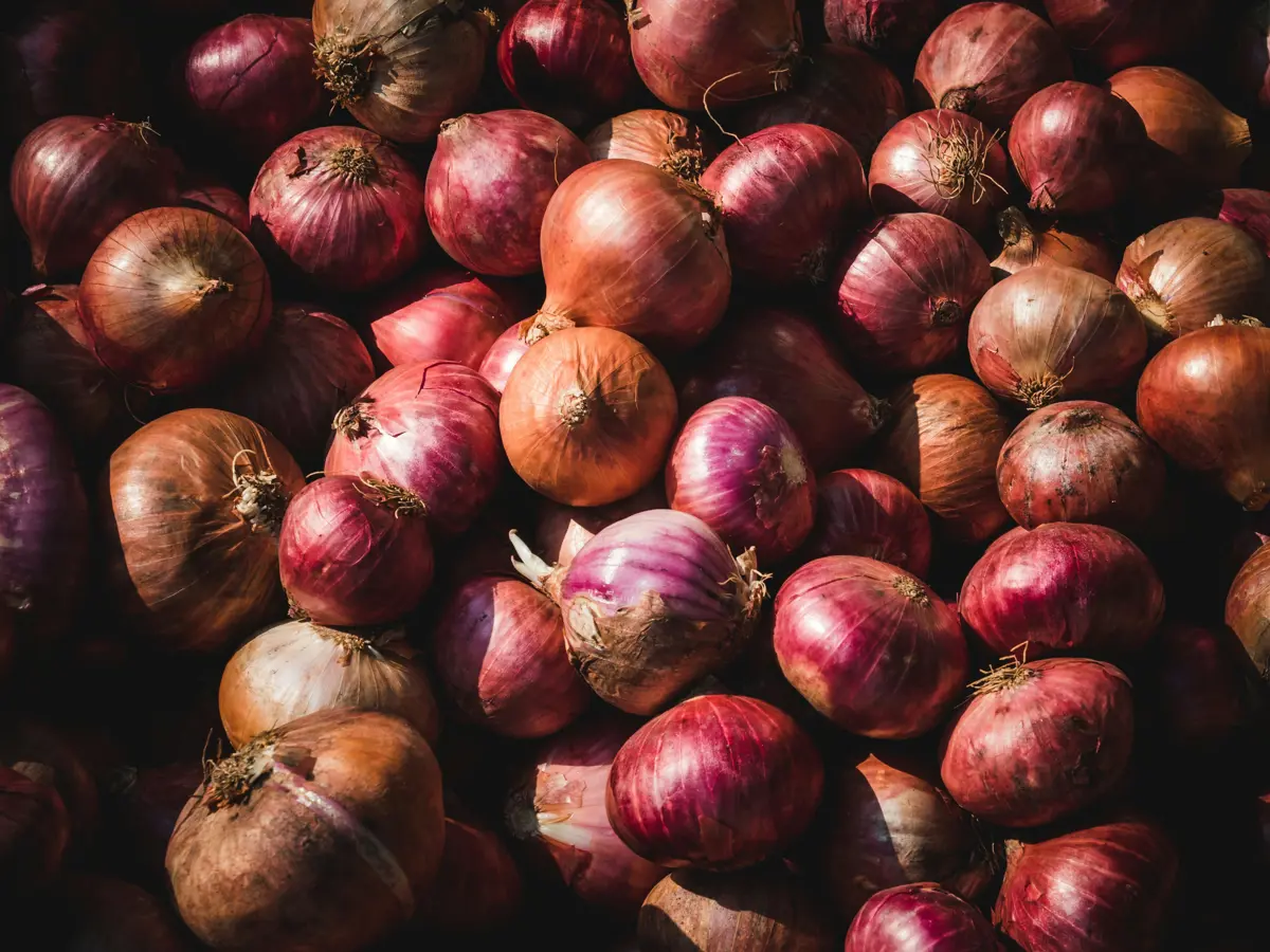 A large pile of red and brown onions