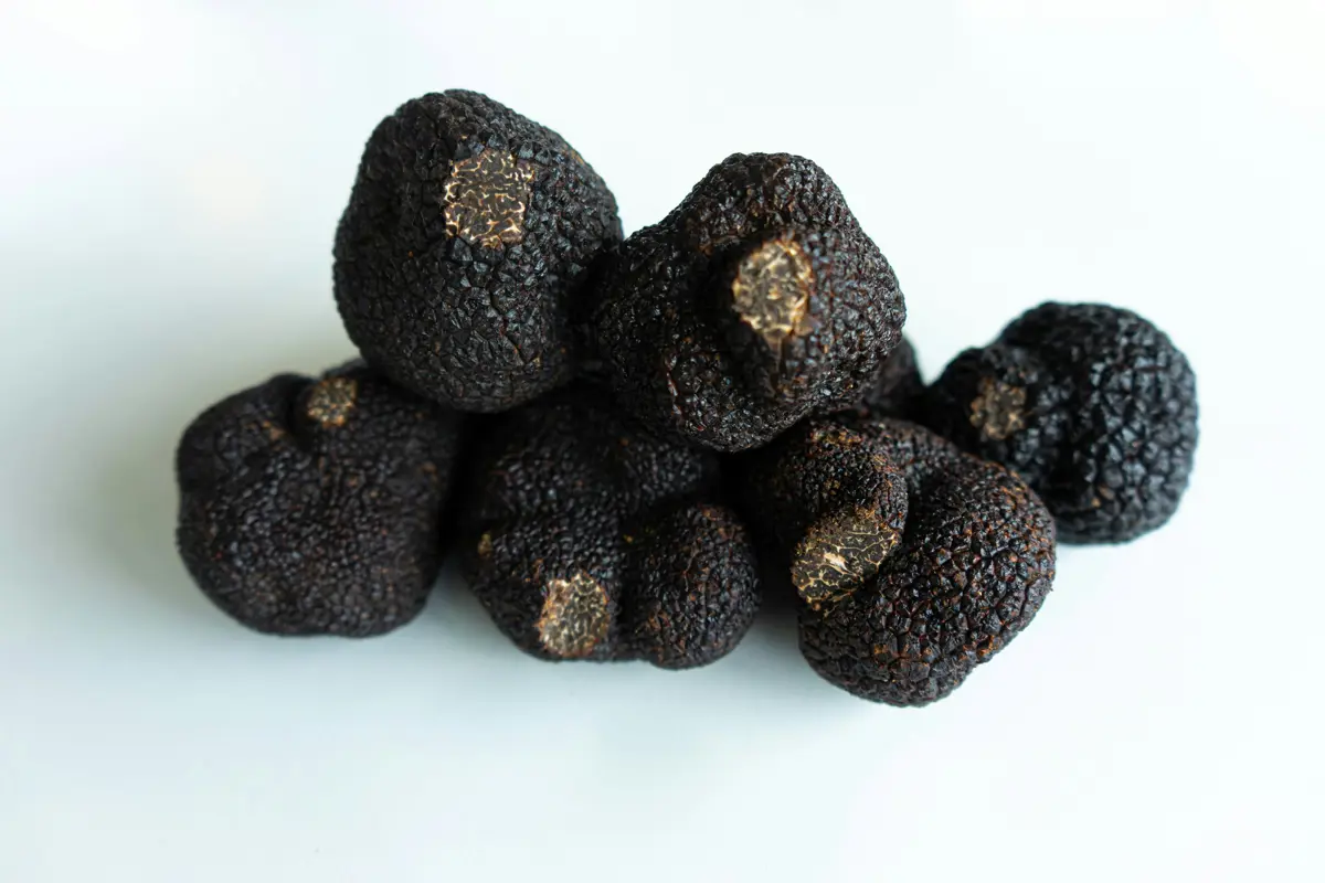 Black truffles with a white background
