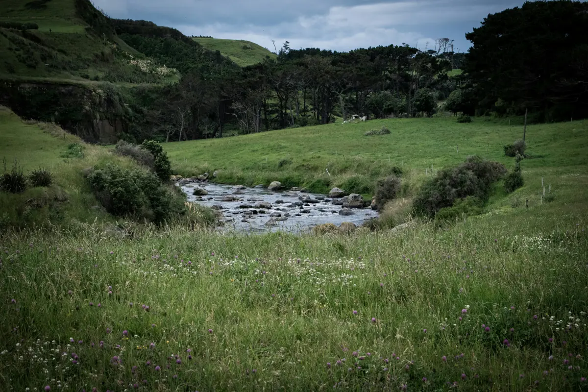 WWO Biophysical Susceptibility To N Leaching And Runoff
