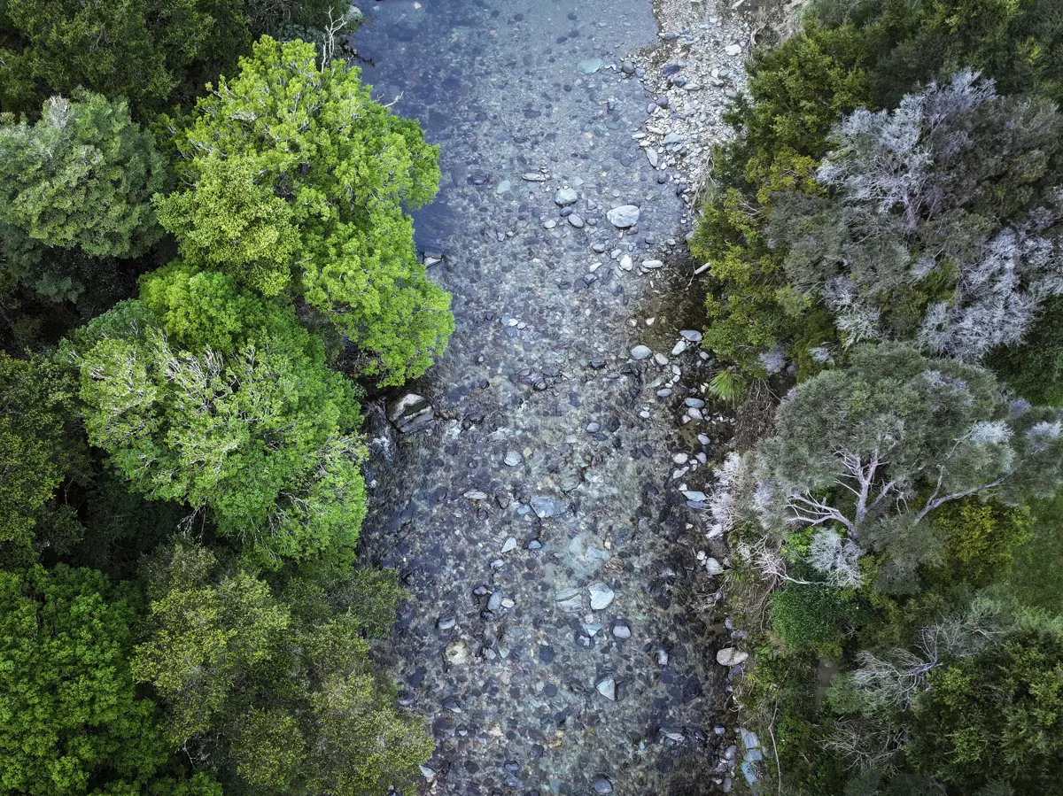 Mahitahi river aerial shot with green native forests on either side of river