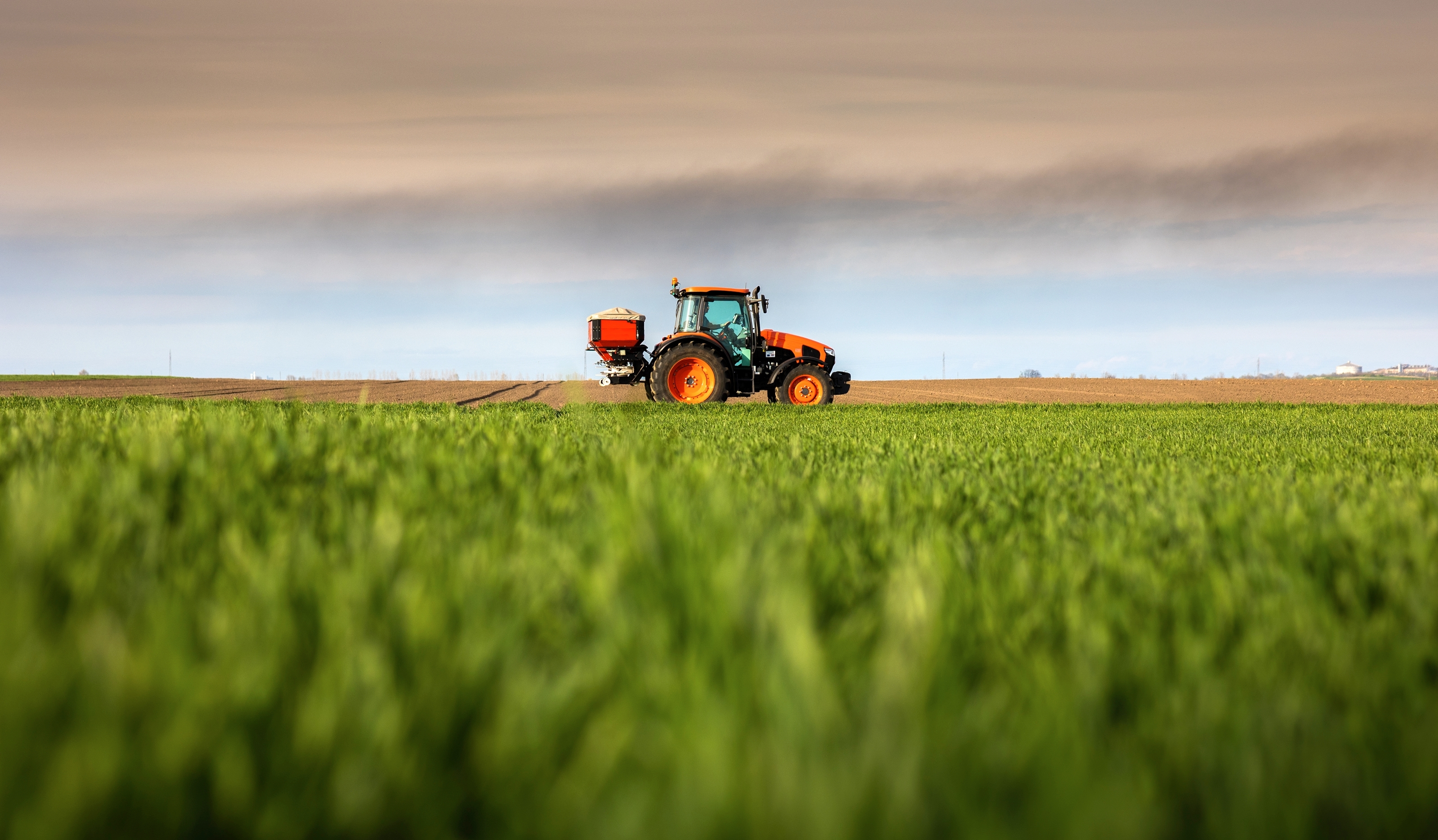 Tractor spreading fertilisers on green crop 